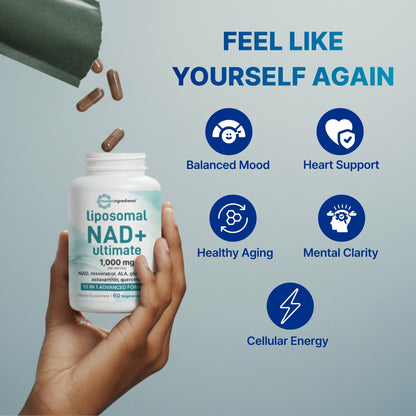 Liposomal NAD+ Capsules